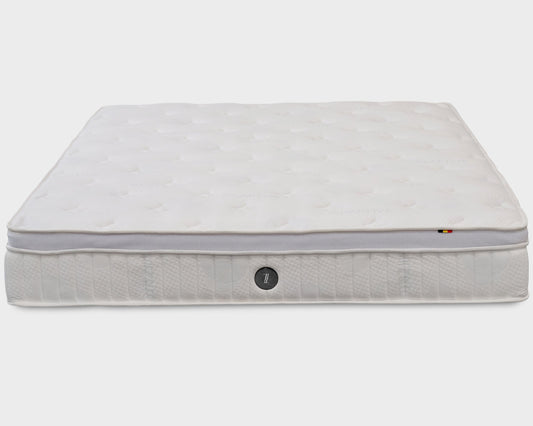 SOFZSLEEP FULL LATEX CHIRO - The Mattress Boutique