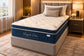 Maxcoil Royale Series Elite Mattress - QUEEN