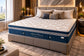 Maxcoil Royale Series Platinum Mattress - SUPER SINGLE