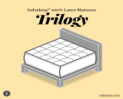 Sofzsleep Full Latex Trilogy Standard Mattress - Single